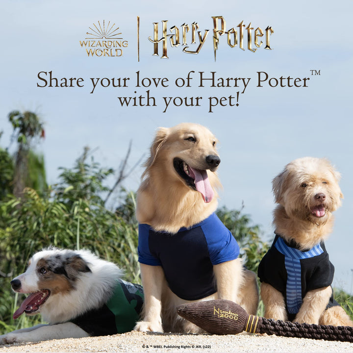 Harry Potter: 6" HP Crinkle Pet Toy | Crinkly Dog Toy in Harry Potter Design | Harry Potter Dog Toy Crinkle 6” Safe Dog Toy for Dogs That Love Crinkle Harry Potter Crinkle 6 inch