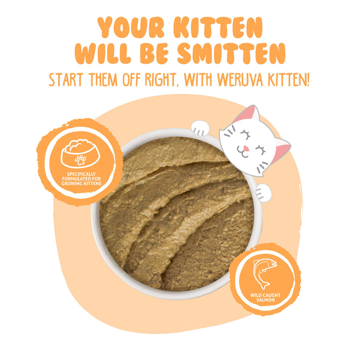 Weruva Kitten, Tuna & Salmon Formula in a Hydrating Purée 3oz Can (Pack of 12) 3 Ounce (Pack of 12)