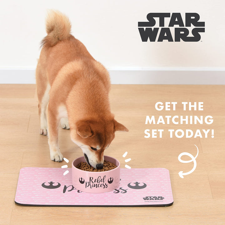 STAR WARS Princess Leia "Future is Female" Dog Bowl, 6 Inch | 6" Dog Bowl, Ceramic Dishwasher Safe STAR WARS Dog Food Bowl Holds up to 3.5 Water, Dry Food, or Wet Food,Pink,1 Count (Pack of 1),FF13175