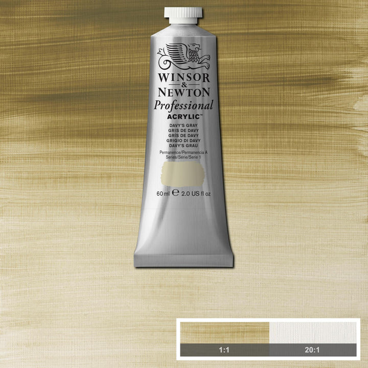 Winsor & Newton Professional Acrylic Paint, 60ml (2-oz) Tube, Davy's Gray 2-oz Tube