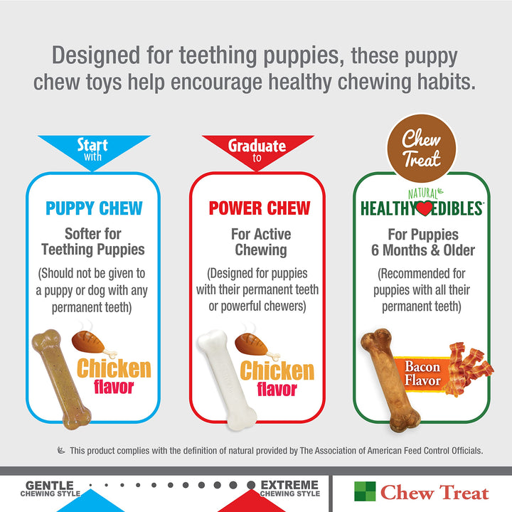 Nylabone Teething Puppy Chew Starter Kit, Two Puppy Chew Toys, Puppy Supplies, Peanut Butter & Chicken Flavor, X-Small/Petite (2 Count) X-Small/Petite (2 Count)