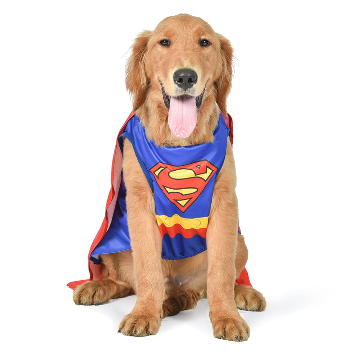 DC Comics Superhero Superman Halloween Dog Costume - X-Small - | DC Superhero Halloween Costumes for Dogs, Funny Dog Costumes | Officially Licensed DC Dog Halloween Costume Blue