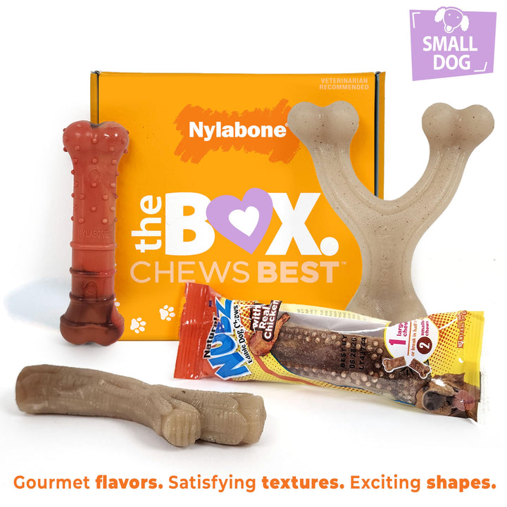 Nylabone Dog Gift Box for Small Dogs - 3 Strong Chew Toys and 1 Dog Treat - Flavor Variety, Small/Regular (4 Count)