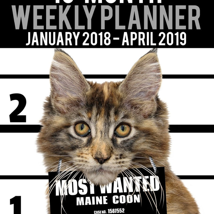 2018-2019 Weekly Planner - Most Wanted Maine Coon: Daily Diary Monthly Yearly Calendar Large 8.5" x 11" Schedule Journal Organizer (Cat Planners 2018-2019)