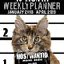 2018-2019 Weekly Planner - Most Wanted Maine Coon: Daily Diary Monthly Yearly Calendar Large 8.5" x 11" Schedule Journal Organizer (Cat Planners 2018-2019)