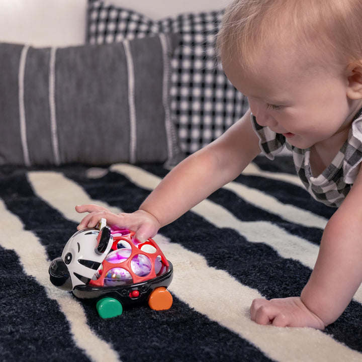 Baby Einstein Curious Car Zen Oball Toy Car & Rattle, Light Up, Ages 3 Months+, Zen The Zebra Zen Oball Car