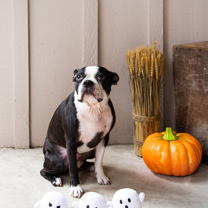 Pearhead Plush Squeaky Ghost Dog Toys, Halloween Stuffed Pet Toy, Dog Owner Must Have Accessories, Spooky Ghosts Fall Dog Toys, Set of 3 Ghost Pet Toy Set