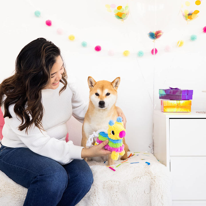 Pearhead Puppy Pinata Dog Toy, Rope Tug Toy for Dogs, Colorful Interactive Dog Toys, Party Pinata Toy for Dogs, Plush Chew Toy, Pet Owner Must Have Toy Pearhead Puppy Pinata Dog Toy