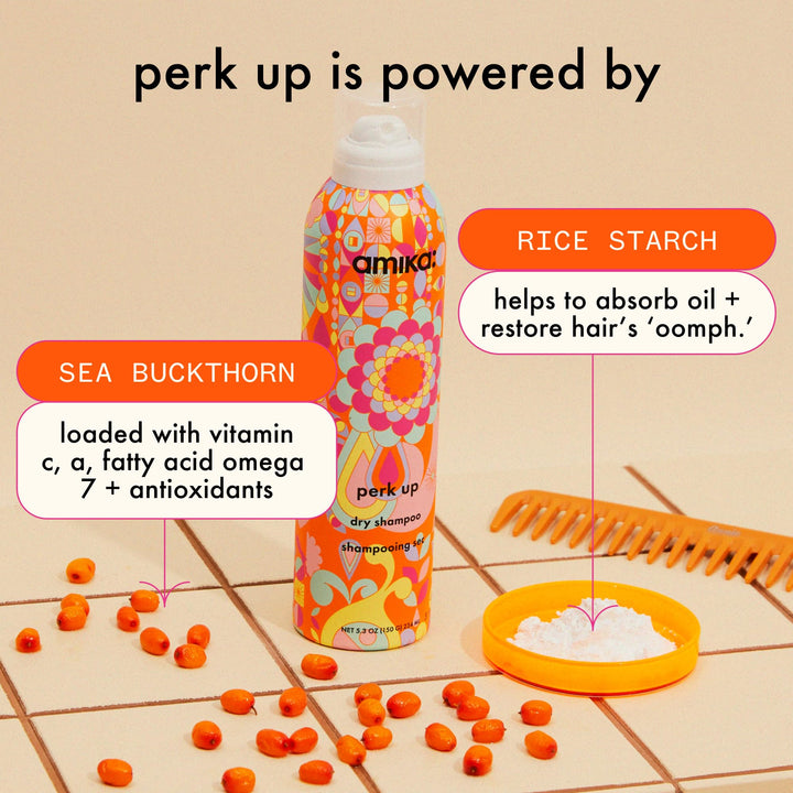 amika Perk Up Dry Shampoo, 5.3 oz. (Pack of 1)