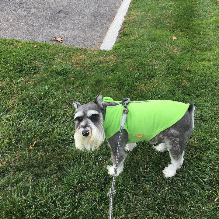 Gooby Zip Up Fleece Dog Sweater - Lime, X-Small - Warm Pullover Fleece Step-in Dog Jacket with Dual D Ring Leash - Winter Small Dog Sweater - Dog Clothes for Small Dogs Boy and Medium Dogs X-Small chest (~11")