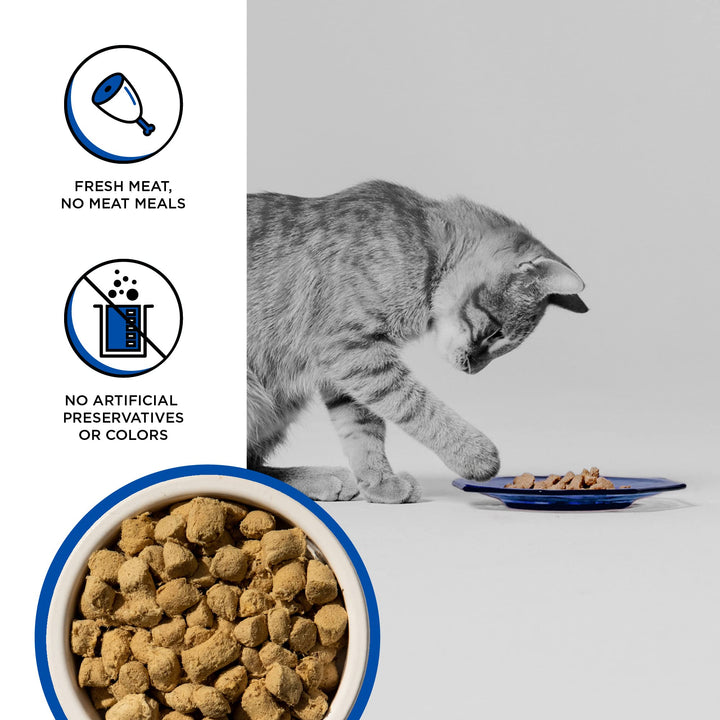 BIXBI Rawbble Freeze Dried Cat Food, Turkey Recipe, 10 oz - 94% Meat and Organs, No Fillers - Pantry-Friendly Raw Cat Food for Meal, Treat or Food Topper - USA Made in Small Batches