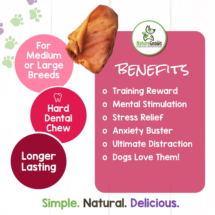 Nature Gnaws Pig Ears for Dogs - Premium Natural Pork Dental Chews - Thick Long Lasting Dog Chew Treats for Aggressive Chewers - Rawhide Free 8 Count (Pack of 1) 8 Count (Pack of 1)