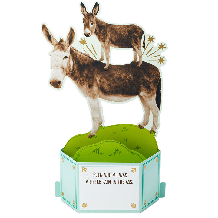 Hallmark Paper Wonder Shoebox Funny Pop Up Fathers Day Card or Birthday Card from Son or Daughter (Donkeys, Pain in The) Donkeys, Pain in the . . .