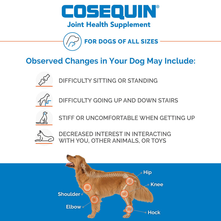 Cosequin Joint Health Supplement for Dogs - With Glucosamine, Chondroitin, MSM, and Omega-3's, 120 Soft Chews