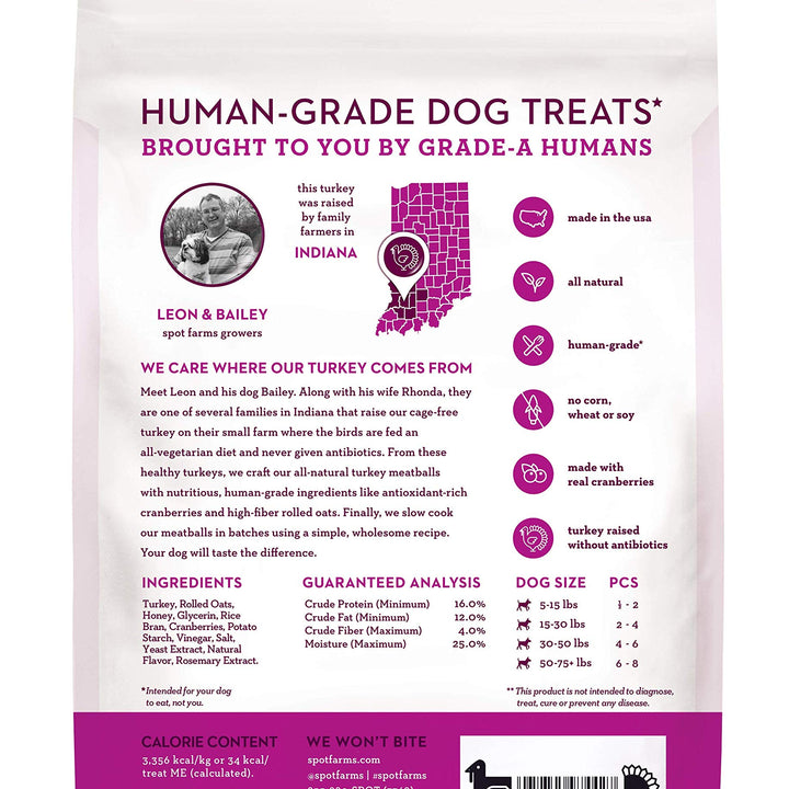 Turkey Meatball Recipe Healthy All Natural Dog Treats Human Grade Made In USA 12.5 oz