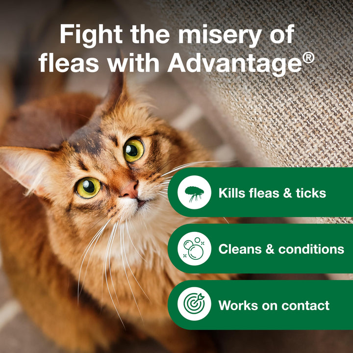 Advantage Flea and Tick Treatment Shampoo for Cats and Kittens, 8 oz