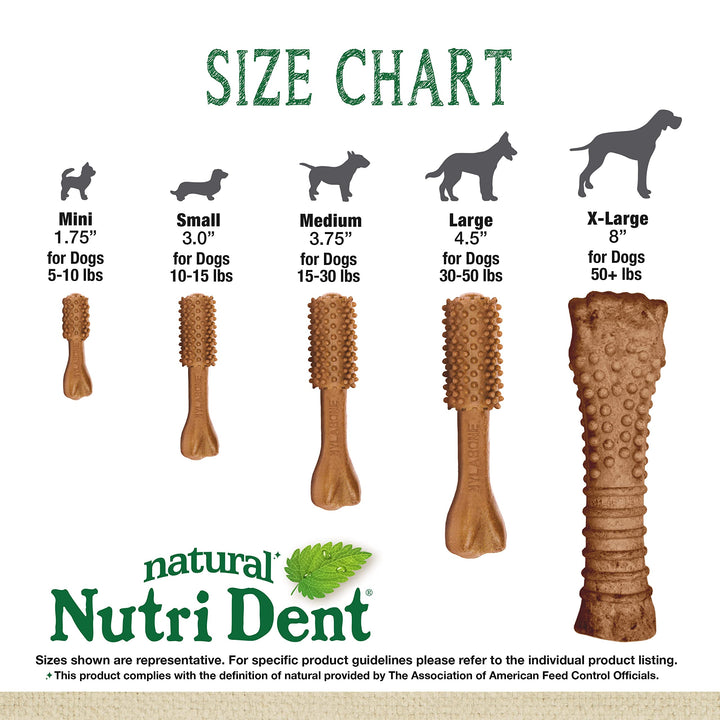 Nylabone Nutri Dent Filet Mignon Dog Dental Chews Small - 10 lbs. to 15 Ibs.