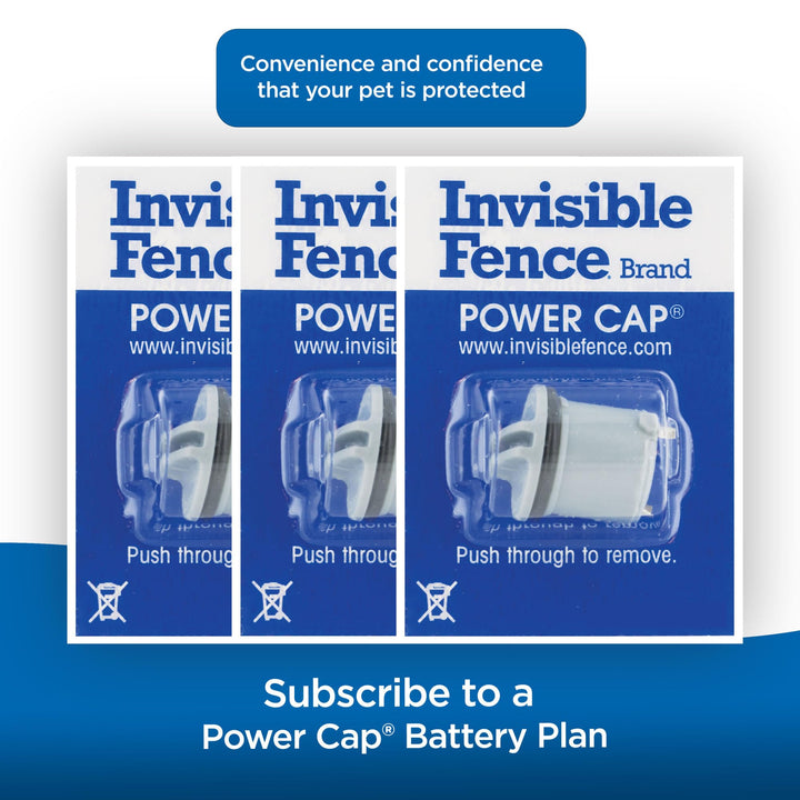 BRAND Power Cap Batteries for MicroLite and MicroLite Plus Computer Collar Units – Also compatible with MaxDog and MaxDog Plus Invisible Fence Dog Collars - 1 Pack