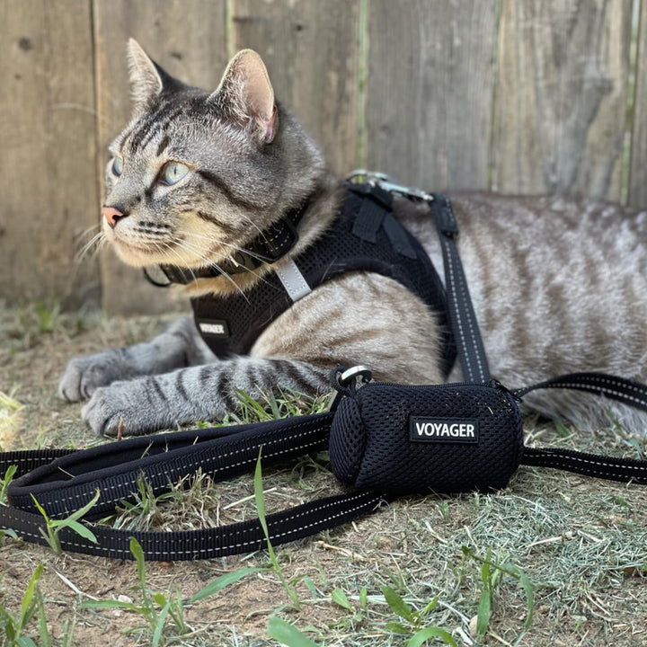 Voyager Step-in Air Dog Harness - All Weather Mesh Step in Vest Harness for Small and Medium Dogs and Cats by Best Pet Supplies - Harness (Black), L (Chest: 18-20.5") Harness (Black) L (Chest: 18 - 20.5")