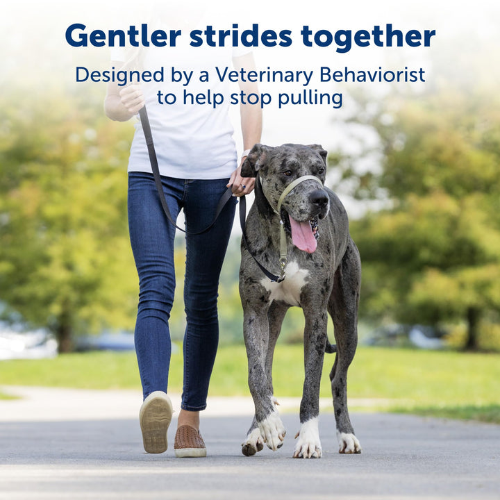 PetSafe Gentle Leader No-Pull Dog Headcollar - The Ultimate Solution to Pulling - Redirects Your Dog's Pulling for Easier Walks - Helps You Regain Control - Medium, Charcoal