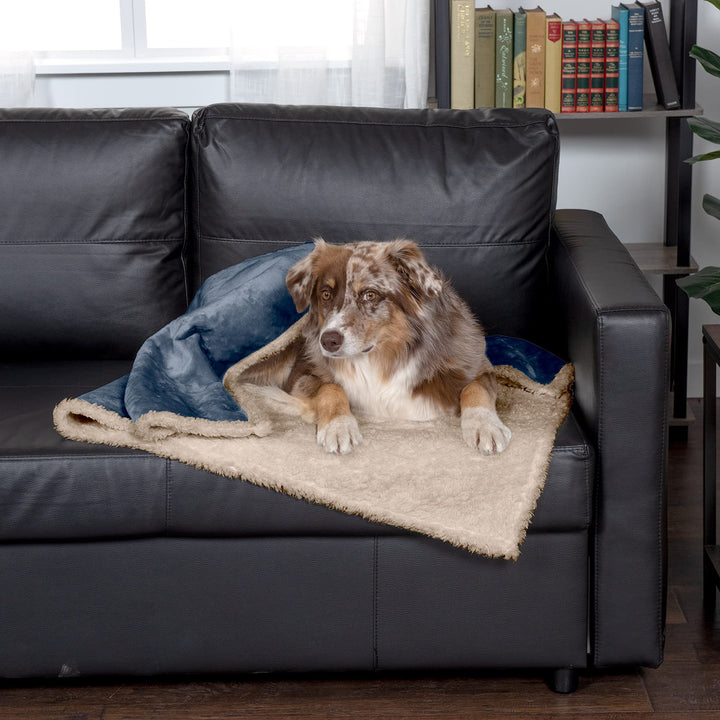 Furhaven Waterproof & Self-Warming Throw Blanket for Dogs & Indoor Cats, Washable & Reflects Body Heat - Soft-Edged Terry & Sherpa Dog Blanket - Cozy Denim, Large Blanket - Soft Edged Terry & Sherpa (Cozy Denim) Self-Warming & Waterproof