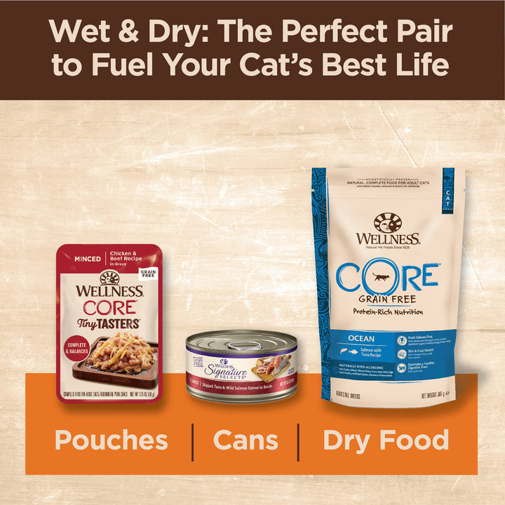 Wellness CORE Tiny Tasters Wet Cat Food, Complete & Balanced Natural Pet Food, Made with Real Meat, 1.75-Ounce Pouch, 12 Pack (Adult Cat, Minced Chicken in Gravy) 1.75 Ounce (Pack of 12)