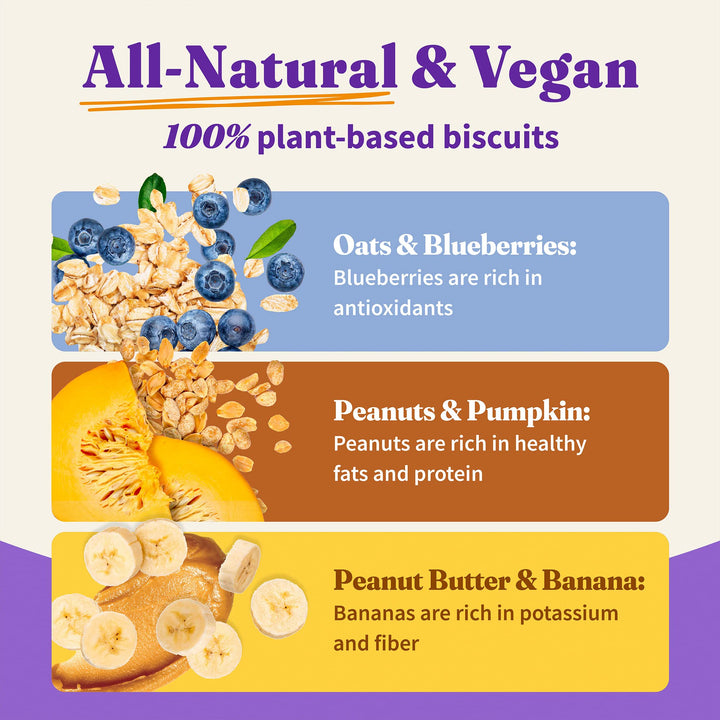 Halo Plant-Based Dog Treats with Peanuts & Pumpkin, Vegan Dog Treat Pouch, 8 oz bag Peanut n’ Pumpkin 8 Ounce (Pack of 1)