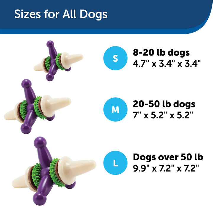 PetSafe Busy Buddy Treat Holding Jack Dog Toy – Strong Chewers - Challenging - Treat Rings Included - Large Purple
