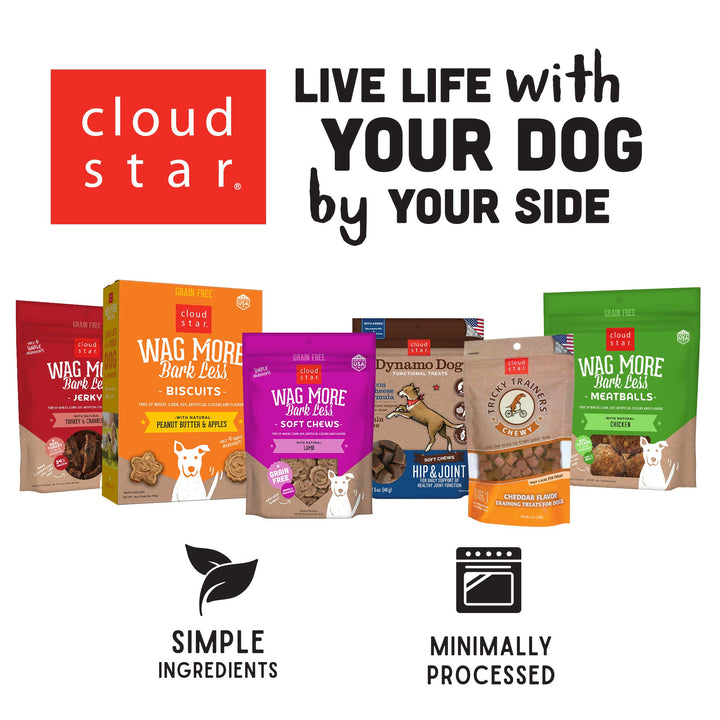 Cloud Star Dynamo Dog Skin & Coat Treats – Chewy Treat with Fish Oil for Shiny Coat (14 oz. Salmon) 14 Ounce (Pack of 1)