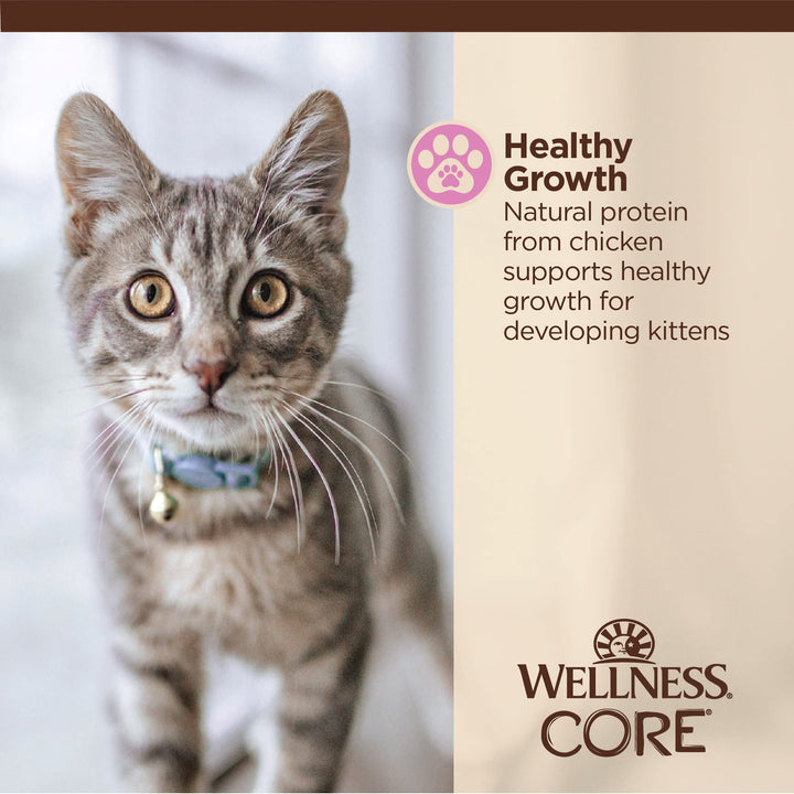 Wellness CORE Tiny Tasters Wet Kitten Food, Complete & Balanced Natural Pet Food, Made with Real Meat, 1.75-Ounce Pouch, 12 Pack (Kitten, Chicken Pate)