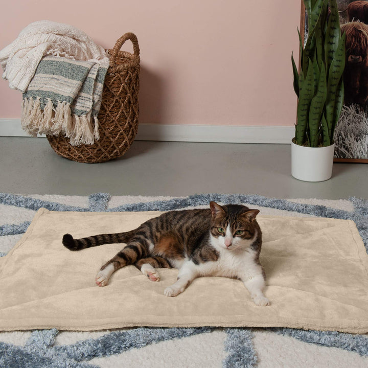 Furhaven ThermaNAP Self-Warming Cat Bed for Indoor Cats & Large/Medium Dogs, Washable & Reflects Body Heat - Quilted Faux Fur Reflective Bed Mat - Cream, Large ThermaNAP Pad - Quilted Faux Fur (Cream) 36.0"L x 24.0"W x 0.3"Th Self-Warming Only