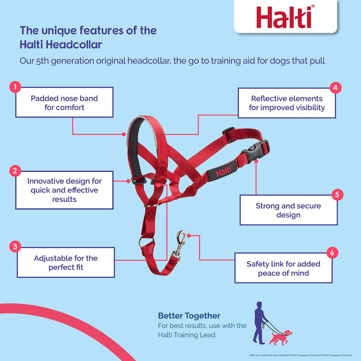 HALTI Headcollar - to Stop Your Dog Pulling on The Leash. Adjustable, Reflective and Lightweight, with Padded Nose Band. Dog Training Anti-Pull Collar for Medium Dogs (Size 2, Red)