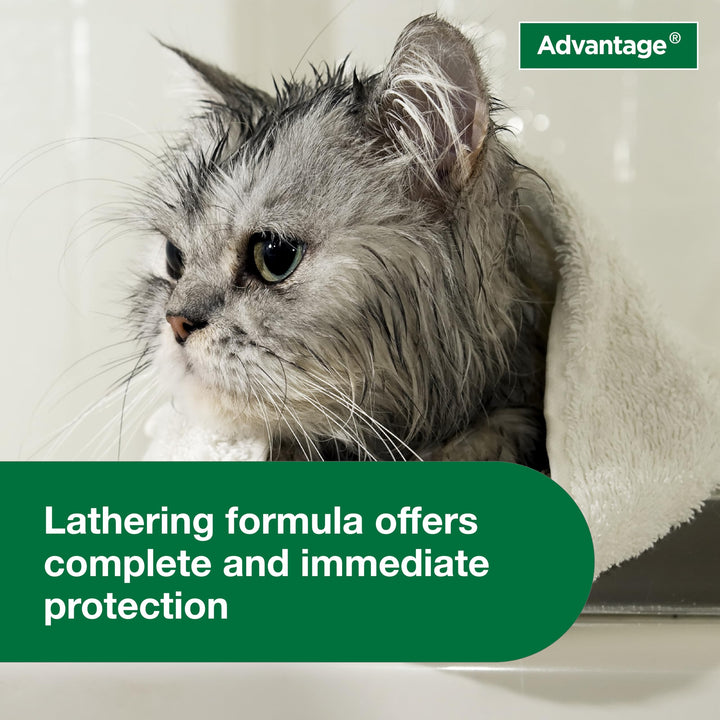 Advantage Flea and Tick Treatment Shampoo for Cats and Kittens, 8 oz