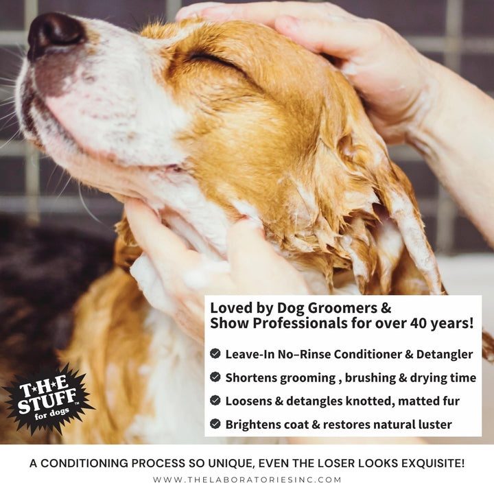 Leave-In Dog Conditioner and Detangler Spray | 16oz Ready to Use | Perfect Solution for Managing Matted Dog Hair | Top Rated Dog Detangling and Dematting Spray