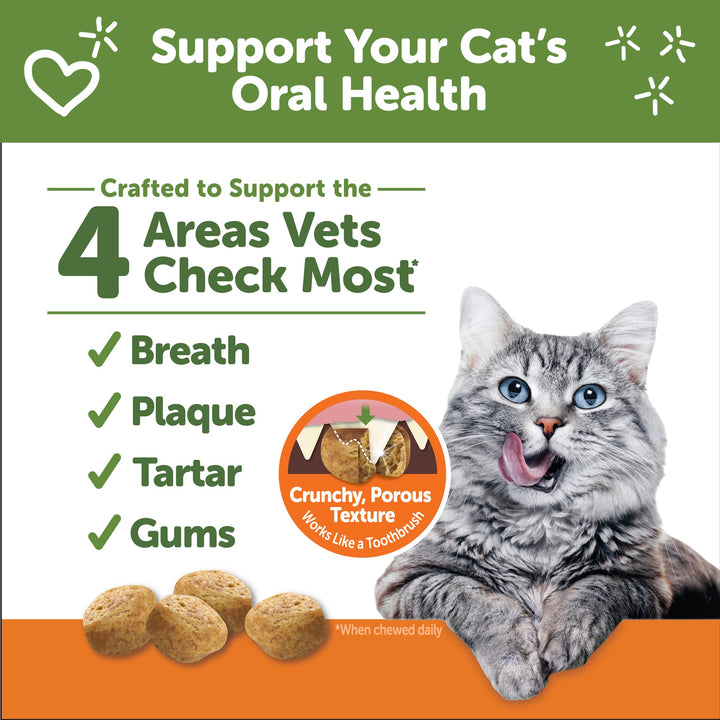 Whimzees Wellness Natural Cat Dental Treats, Chicken & Salmon Flavor, 2 Ounce 2 Ounce (Pack of 1)