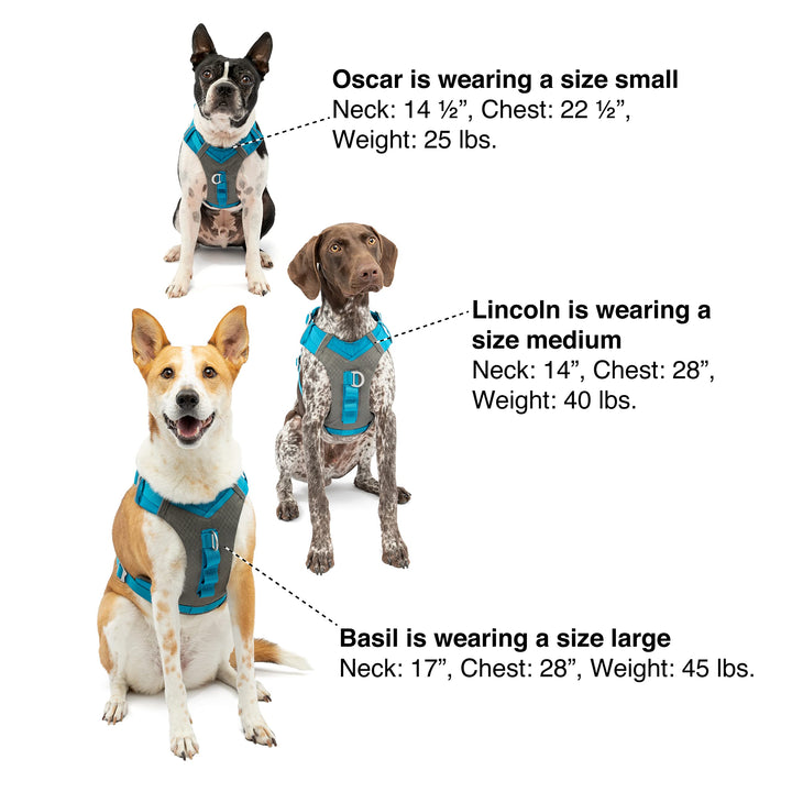 Kurgo Dog Harness for Large, & Small Active Dogs, Pet Hiking Harness for Running & Walking, Everyday Harnesses for Pets, Reflective, Journey Air (Black, Medium), Black/Gray (K01944)