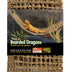 PENN-PLAX Reptology Lizard Lounger  100% Natural Seagrass Fiber  Great for Bearded Dragons, Anoles, Geckos, and Other Reptiles  Extra Large