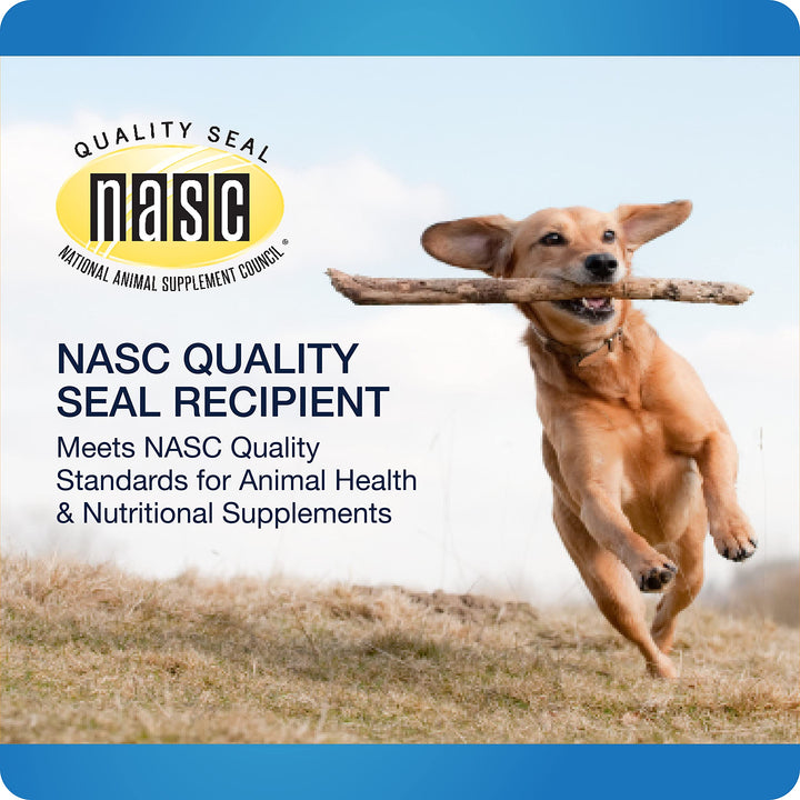 VetIQ Advanced Hip & Joint Chews For Dogs, 60 Count, Chicken Flavored Supplements Made with Glucosamine, Omega 3’s, Chondroitin, MSM, and Green Lipped Mussel, Increases Mobility and Maintains Muscles Advanced Strength 7.4 Ounce (Pack of 1)