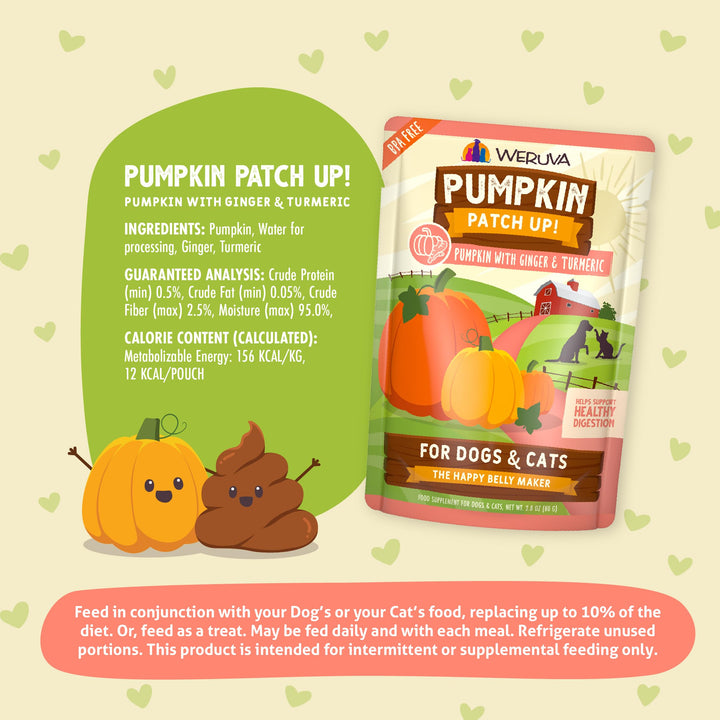 Weruva Pumpkin Patch Up!, Pumpkin with Ginger & Turmeric for Dogs & Cats, 2.8oz Pouch (Pack of 12) 2.8 Ounce (Pack of 12)