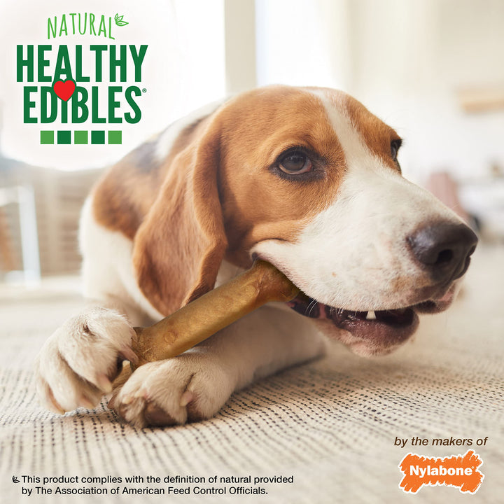 Nylabone Healthy Edibles Natural Dog Chews Long Lasting Bacon Flavor Treats for Dogs, Medium/Wolf (12 Count) 12 Count (Pack of 1)