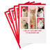 Hallmark Shoebox Pack of 4 Funny Valentines Day Cards for Friends or Family (Cats Don't Care) Valentine's Day, Cats Don't Care