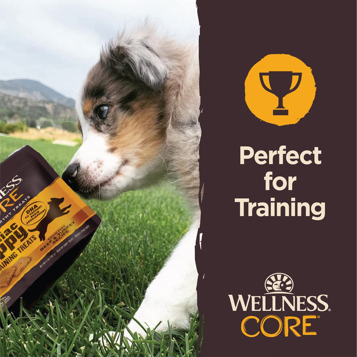 Wellness CORE Soft Tiny Trainers (Previously Petite Treats), Natural Grain-Free Dog Treats for Training, Made with Real Meat, No Artificial Flavors (Turkey & Pomegranate, 6 Ounce Bag) Turkey 6 Ounce (Pack of 1)