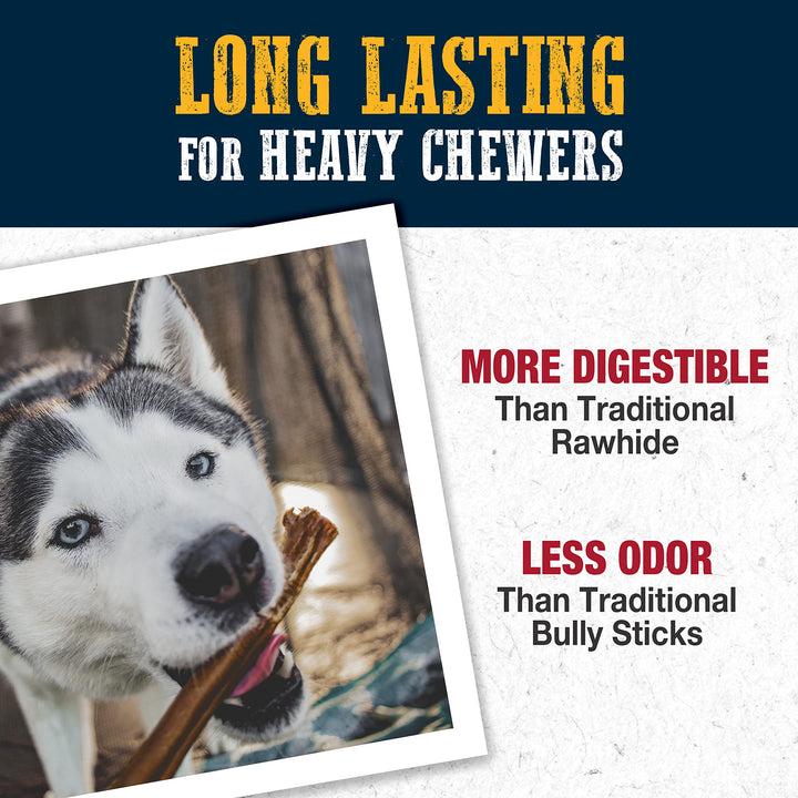 Cadet Bully Hide Sticks for Dogs - All-Natural Bully Stick & Beef Hide Dog Chews - Long Lasting Bully Sticks Alternative Made with 2 Ingredients - Dog Chews for Aggressive Chewers, Large (7 Count) 7 Count
