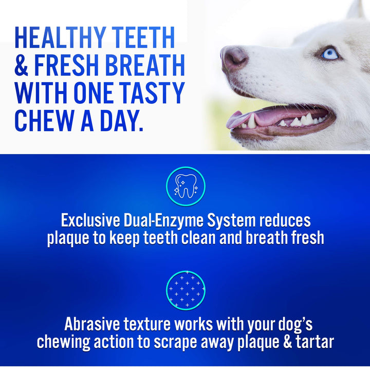 Virbac CET Enzymatic Oral Hygiene Chews for Dogs, Beef, 8.5 ounces 8.5 Ounce (Pack of 1)