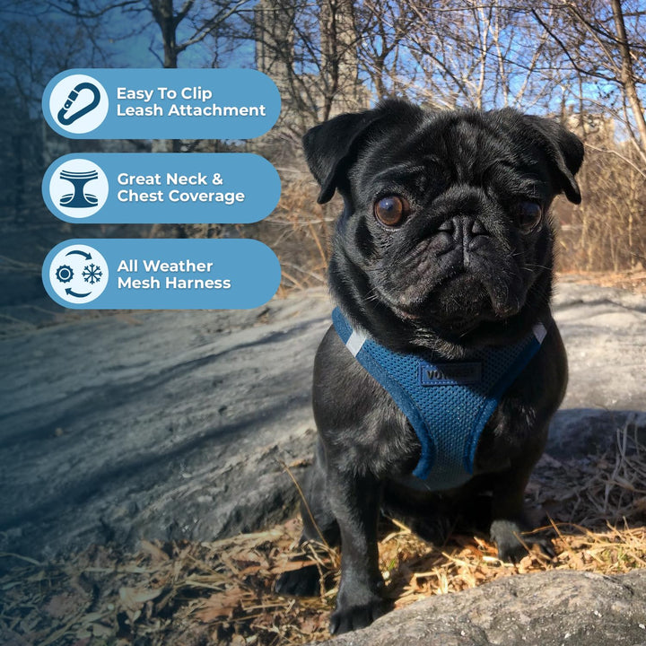 Voyager Step-in Air Dog Harness - All Weather Mesh Step in Vest Harness for Small and Medium Dogs and Cats by Best Pet Supplies - Harness (Blue), S (Chest: 14.5-16") Harness (Blue) S (Chest: 14.5 - 16")