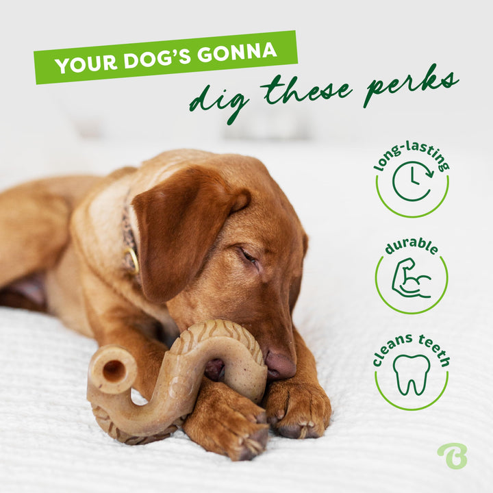 Benebone Tripe Bone Durable Dog Chew Toy for Aggressive Chewers, Real Tripe, Made in USA, Large