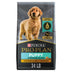 Purina Pro Plan High Protein Puppy Food Shredded Blend Chicken & Rice Formula - 34 lb. Bag Chicken & Rice Shredded Blend 2.13 Pound (Pack of 1)