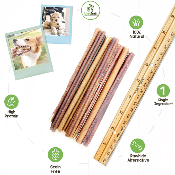 Nature Gnaws Thin Bully Sticks for Small Dogs - Premium Natural Tasty Beef Bones - Simple Long Lasting Dog Chew Treats - Rawhide Free 5-6 Inch 1 Pound (Pack of 1)