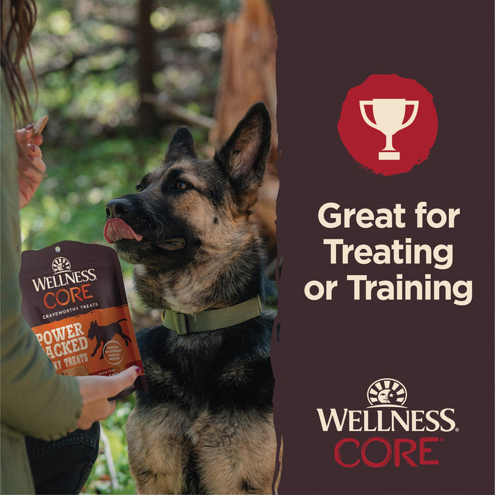 Wellness CORE Power Packed Dog Treats, Grain-Free Tender Jerky Treats, Made in USA (Chicken & Lamb Recipe, 4-Ounce Bag) Chicken & Lamb 4 Ounce (Pack of 1)