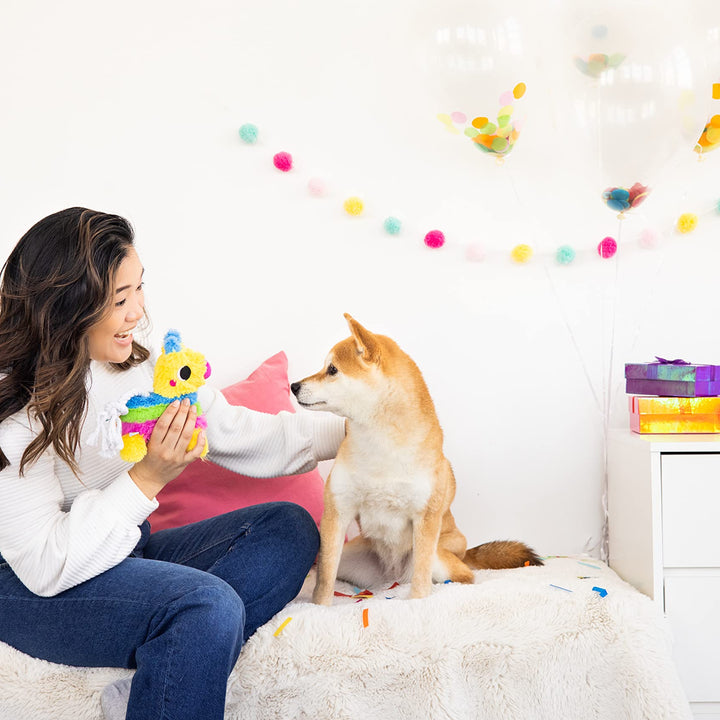 Pearhead Puppy Pinata Dog Toy, Rope Tug Toy for Dogs, Colorful Interactive Dog Toys, Party Pinata Toy for Dogs, Plush Chew Toy, Pet Owner Must Have Toy Pearhead Puppy Pinata Dog Toy